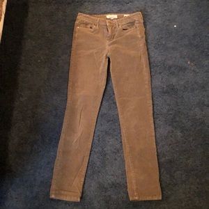 Calvin Klein corduroy skinny jeans